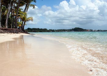  dans le département de La Réunion   dans le département de La Réunion