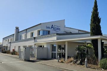Les Aloes