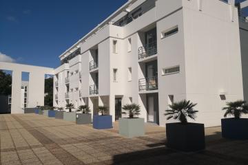 Les Estudines Les Minimes