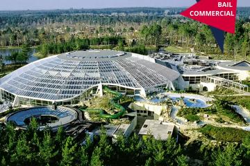 P&V CP - Chaumont-sur-Tharonne - Les Hauts de Bruyère