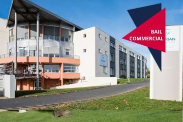 Clariane - Poitiers - Agapanthe